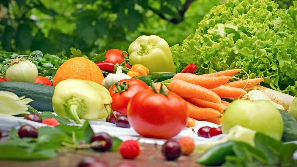 Президент Казахстана подписал Закон «О производстве и обороте органической продукции»